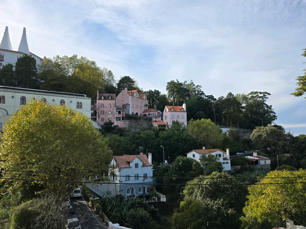 Image uploaded by Wajeeh