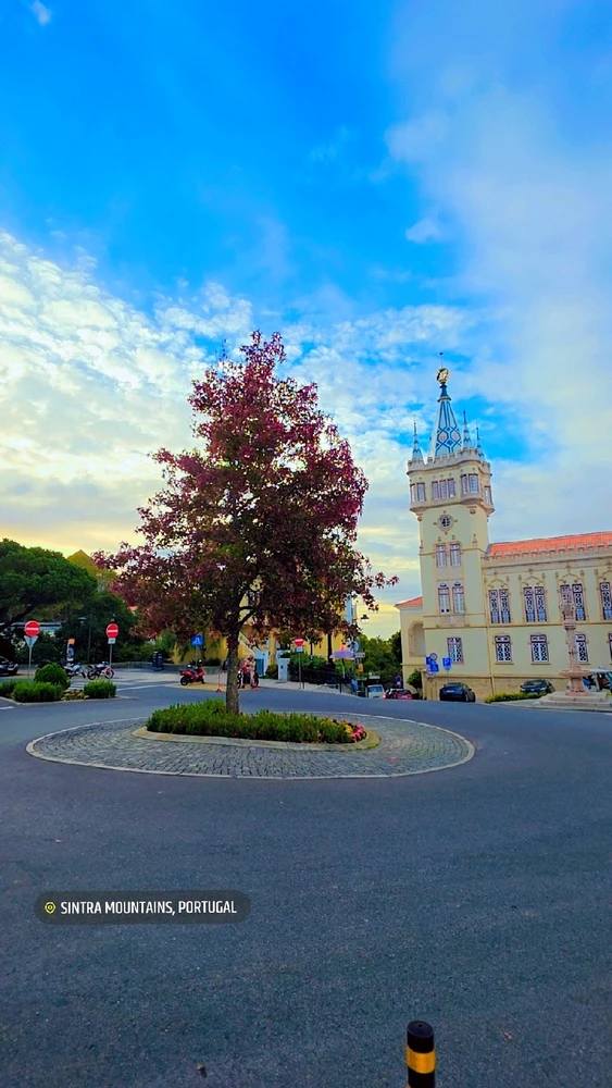 Image uploaded by Wajeeh