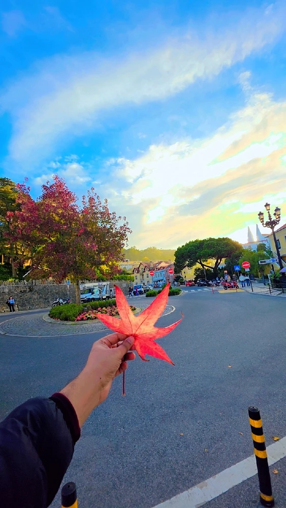 Image uploaded by Wajeeh