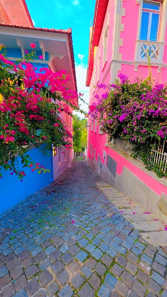 Image uploaded by Wajeeh