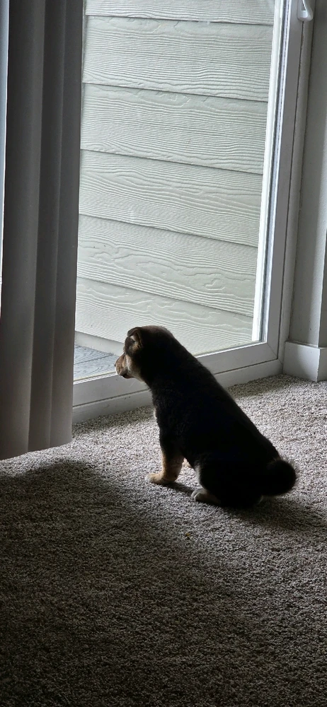 Who still plays valorant