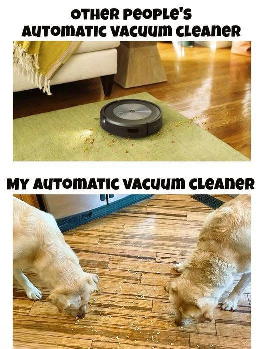 GIF uploaded by Allison