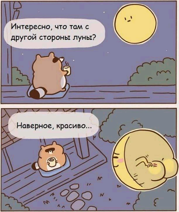 Красота)