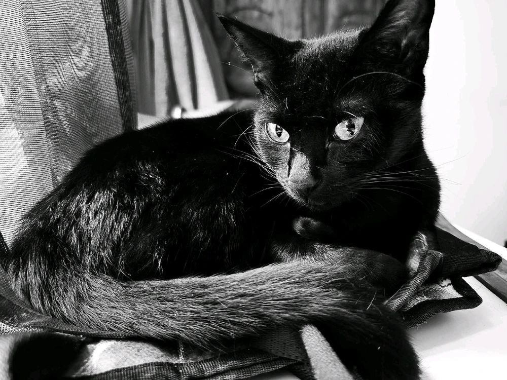 GIF caricata da Lilith