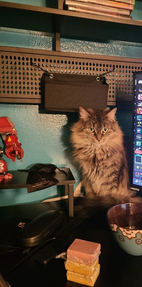 She's my little stress ball