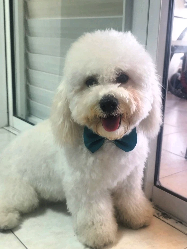 GIF diunggah dening Avi