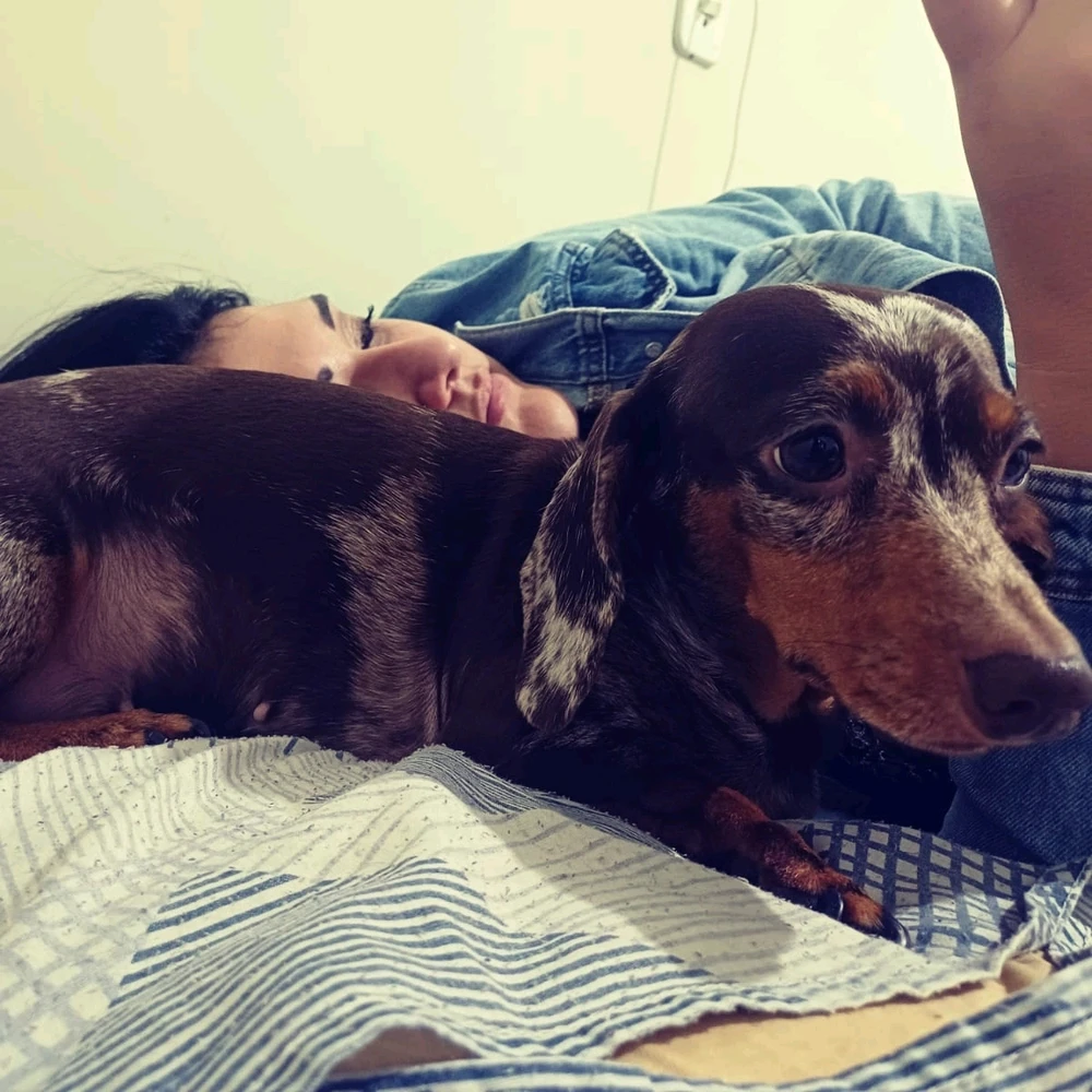 GIF enviado por Gabrielle ( Gaby)