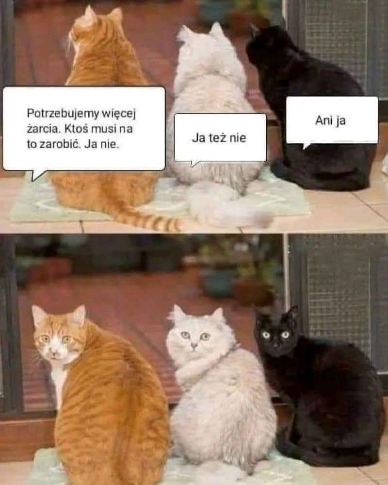 Hej, nowy ludź przyszedł się przywitać 👋