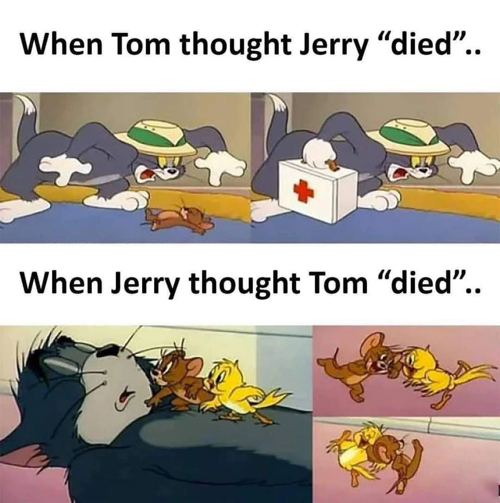 This is why I root for Tom