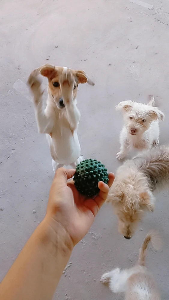 Imagem enviada por Jemima