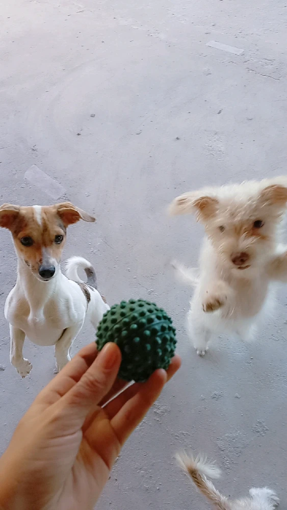 Imagem enviada por Jemima