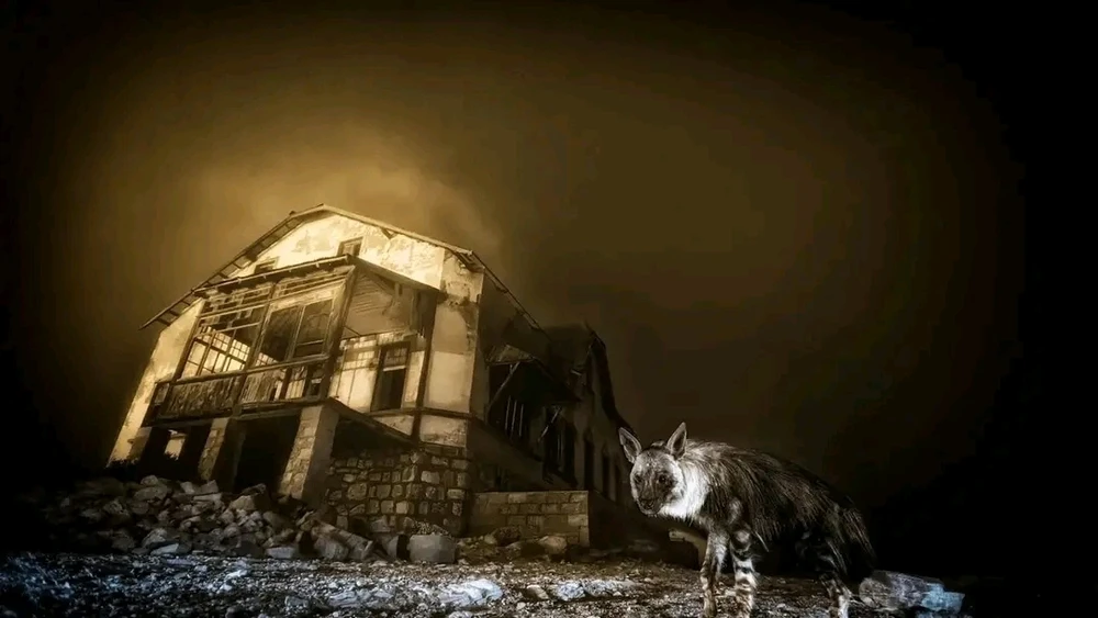 Image ajoutée par Stef