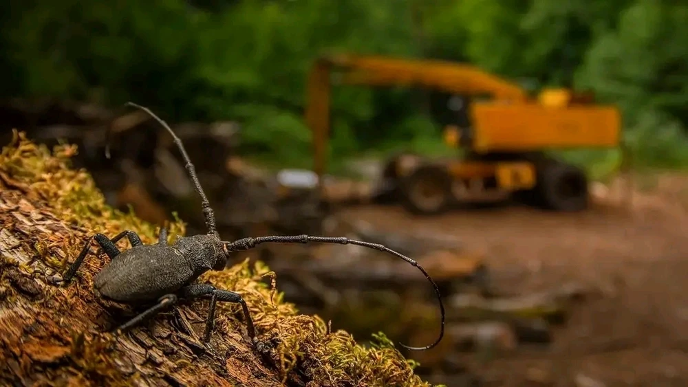 Image ajoutée par Stef