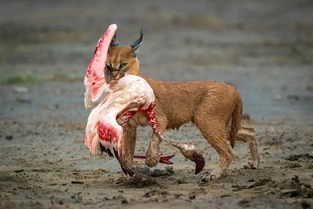 Image ajoutée par Stef