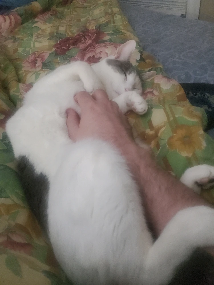 GIF uploaded by Tony