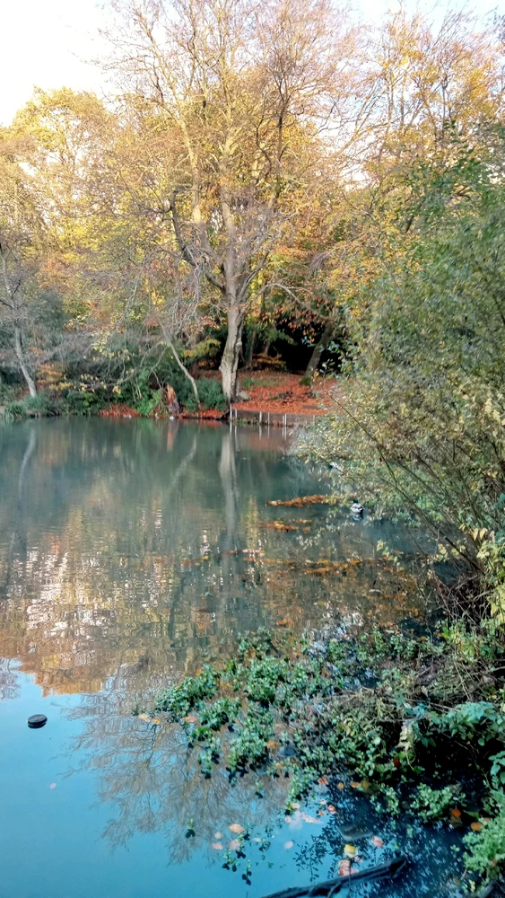 GIF uploaded by GAS 🏴󠁧󠁢󠁥󠁮󠁧󠁿