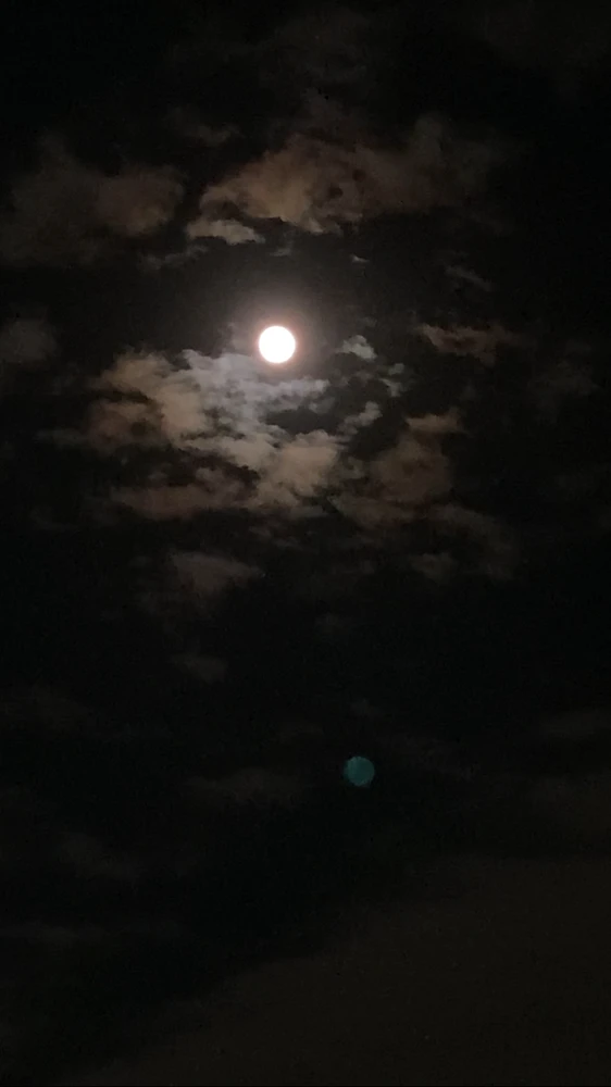 GIF gi-upload ni Dominick