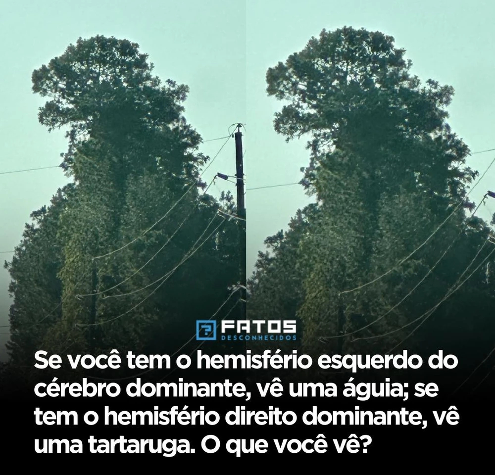 GIF enviado por Adriano