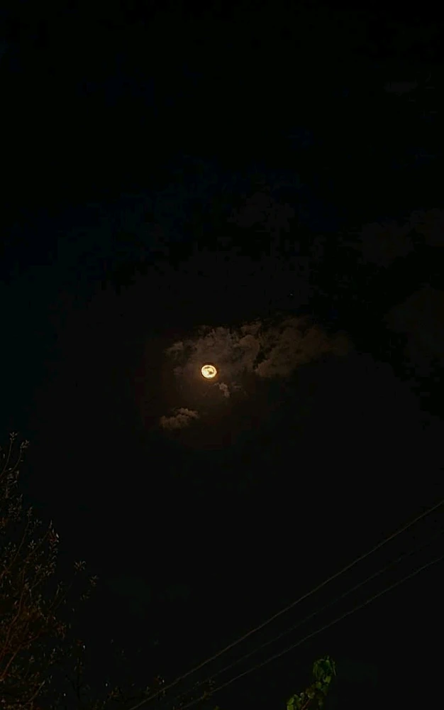 MS.Kathir பதிவேற்றிய GIF