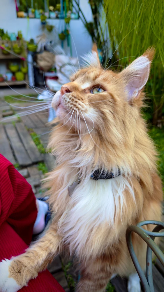 GIF uploaded by Aixa