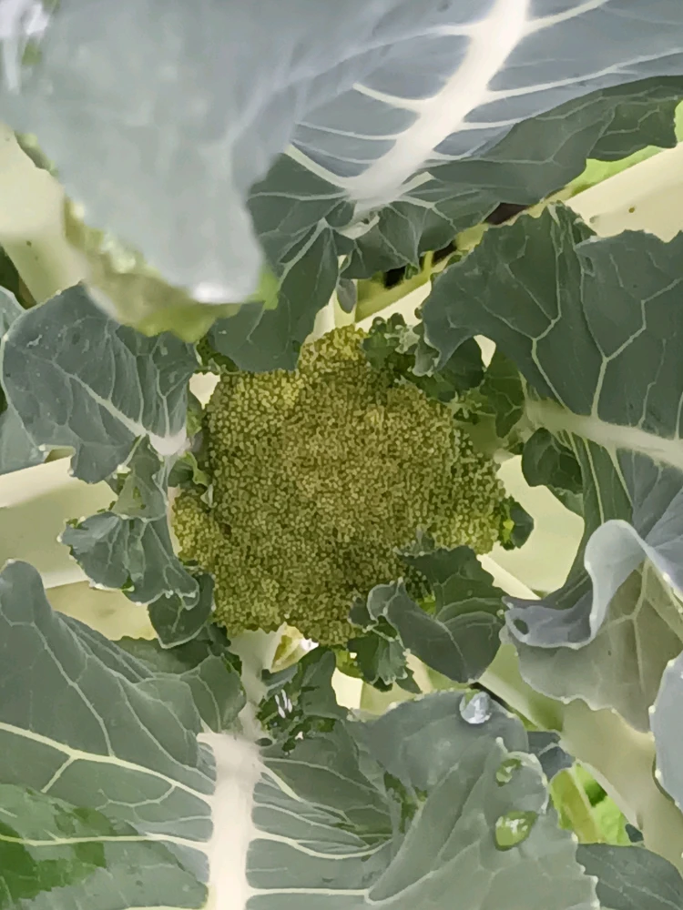 GIF caricata da Massimo