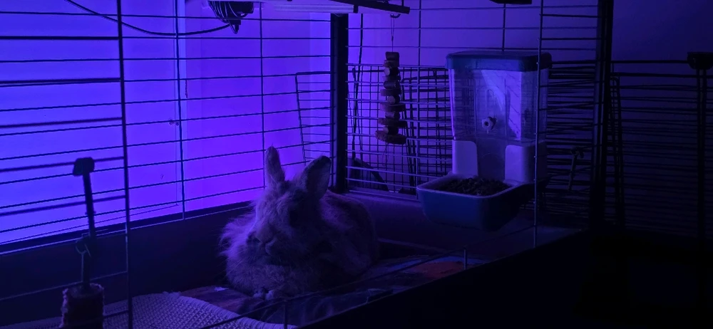 Image uploaded by Ruski