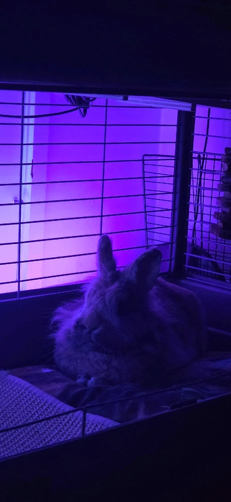 Image uploaded by Ruski