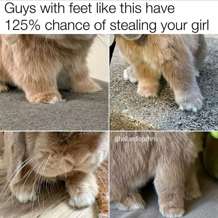 Bun Paws