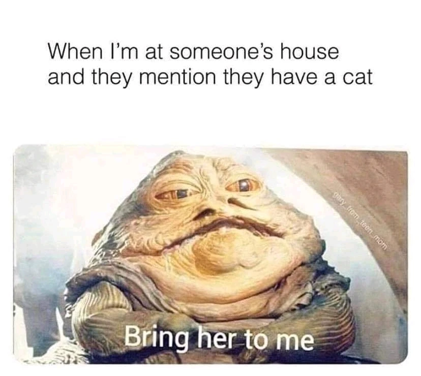 GIF hochgeladen von Vik