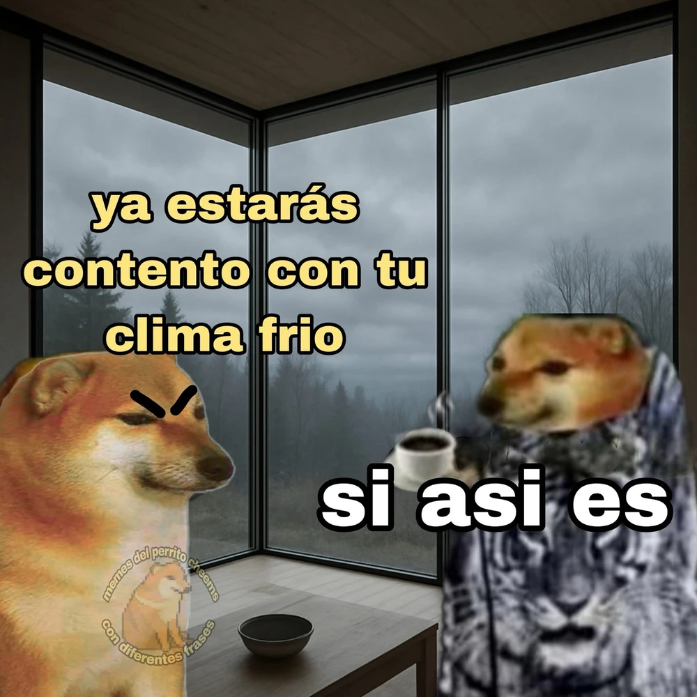 Sí, muy feliz 😌✨