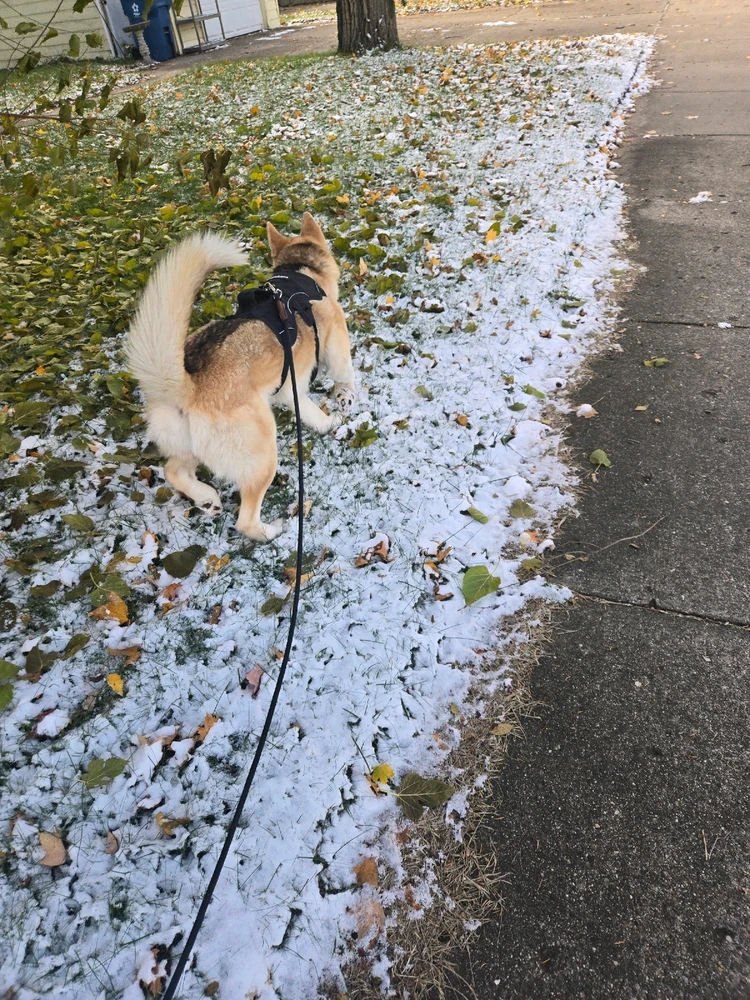 GIF uploaded by Lexi