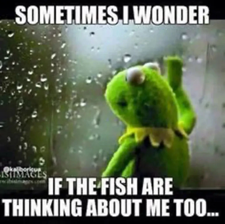 I think about this often