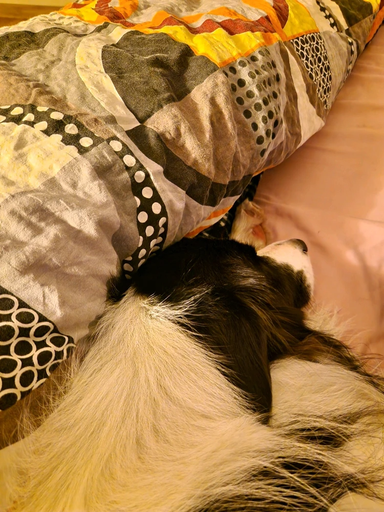 GIF dodany przez Paweł