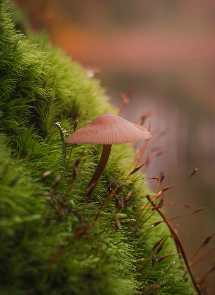 Zdjęcie dodane przez Albert