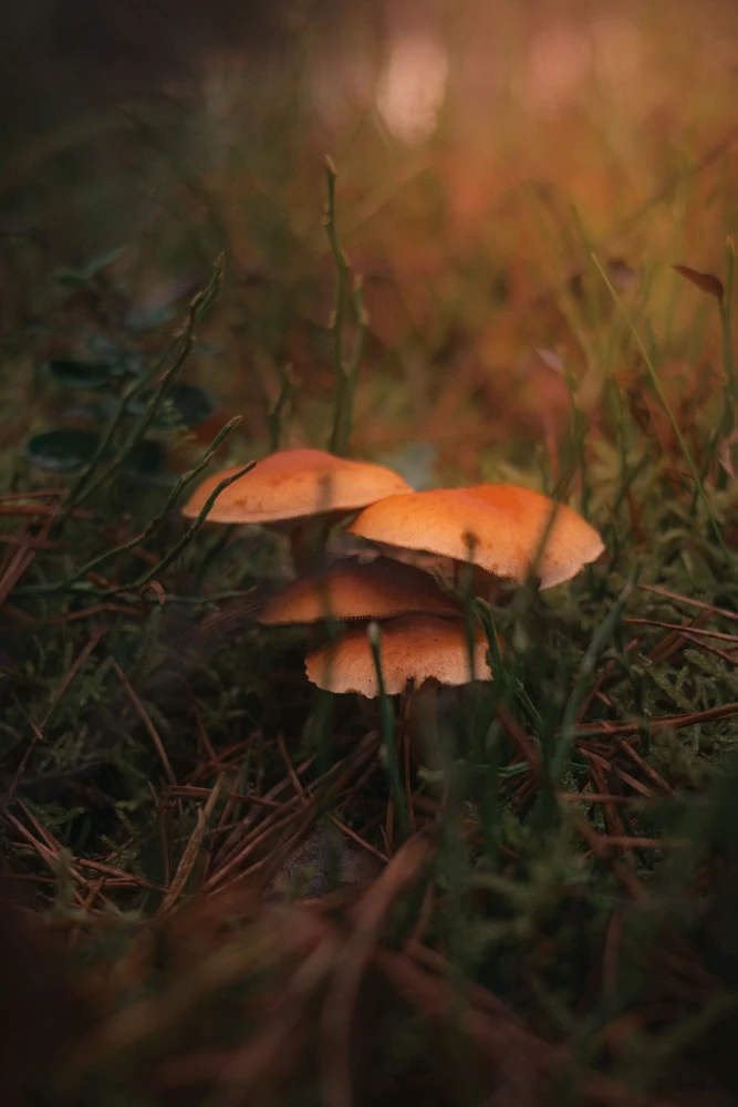 Zdjęcie dodane przez Albert