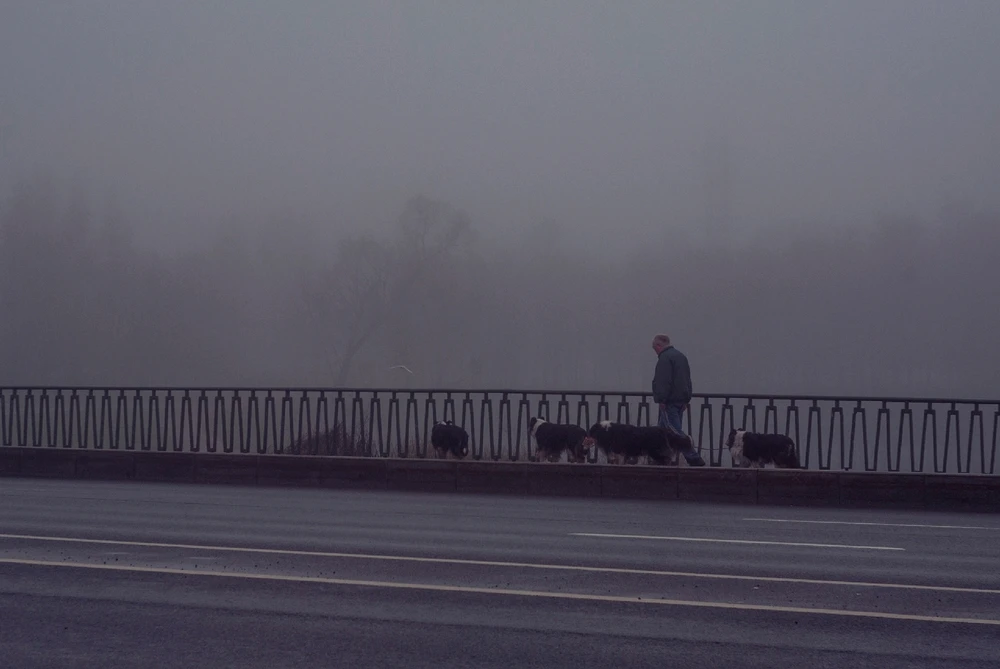 Пробный пост