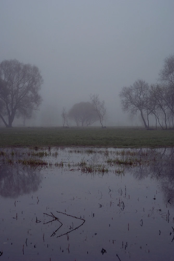 Пробный пост