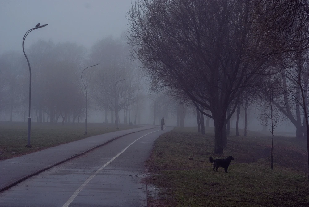 Пробный пост