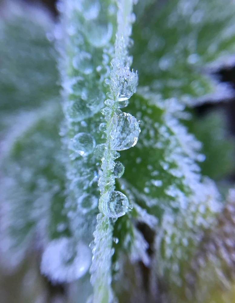 GIF uploaded by Chani