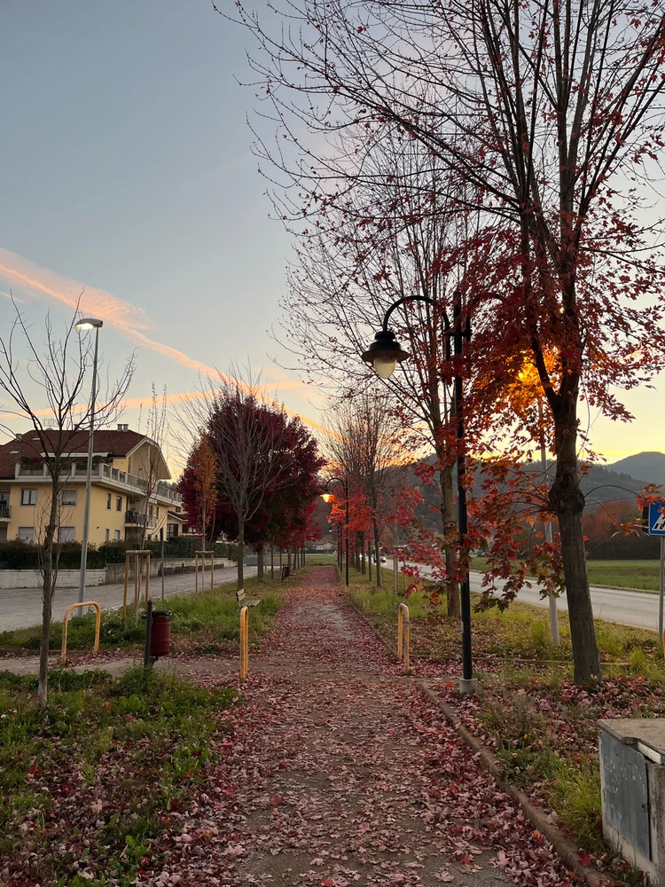 Image uploaded by Mohamed