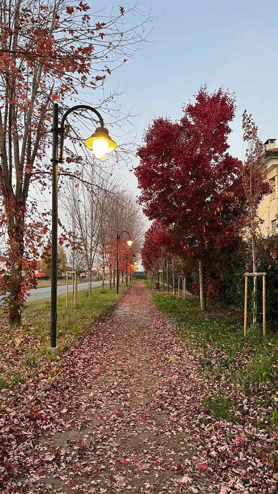 Image uploaded by Mohamed