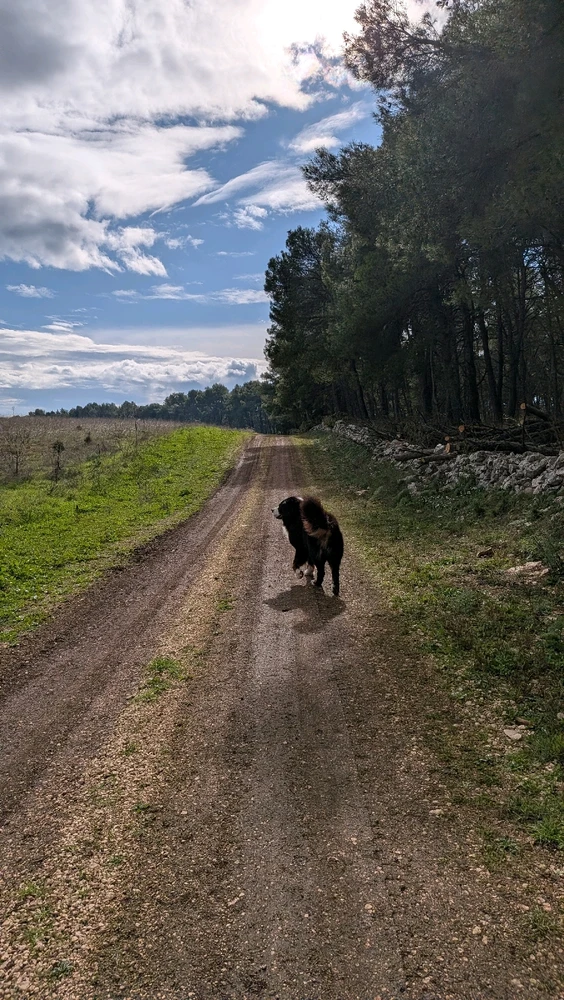 GIF caricata da Stefano