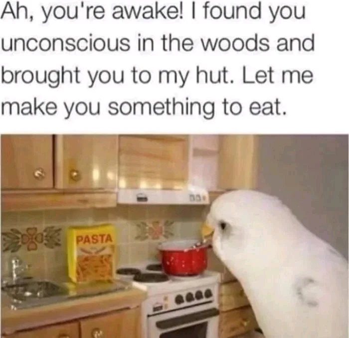 That's adorable 😂