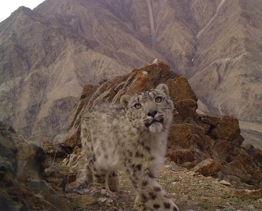 GIF uploaded by Mark