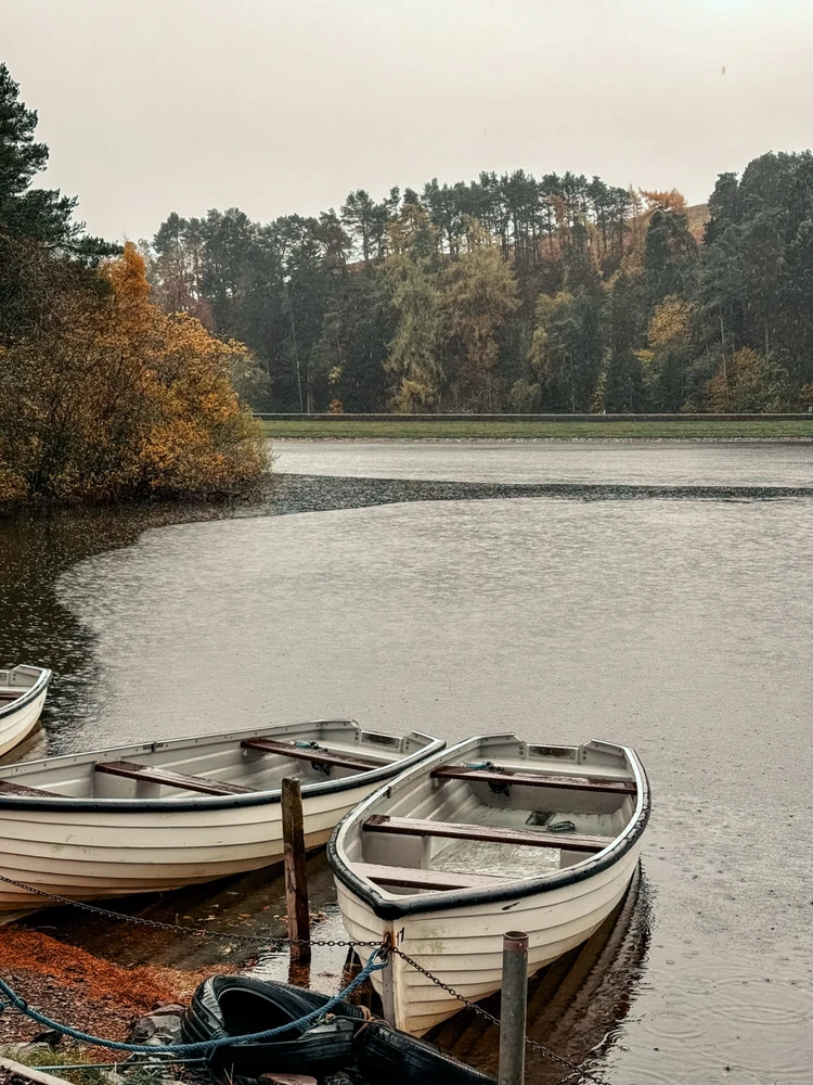 GIF uploaded by Harjot