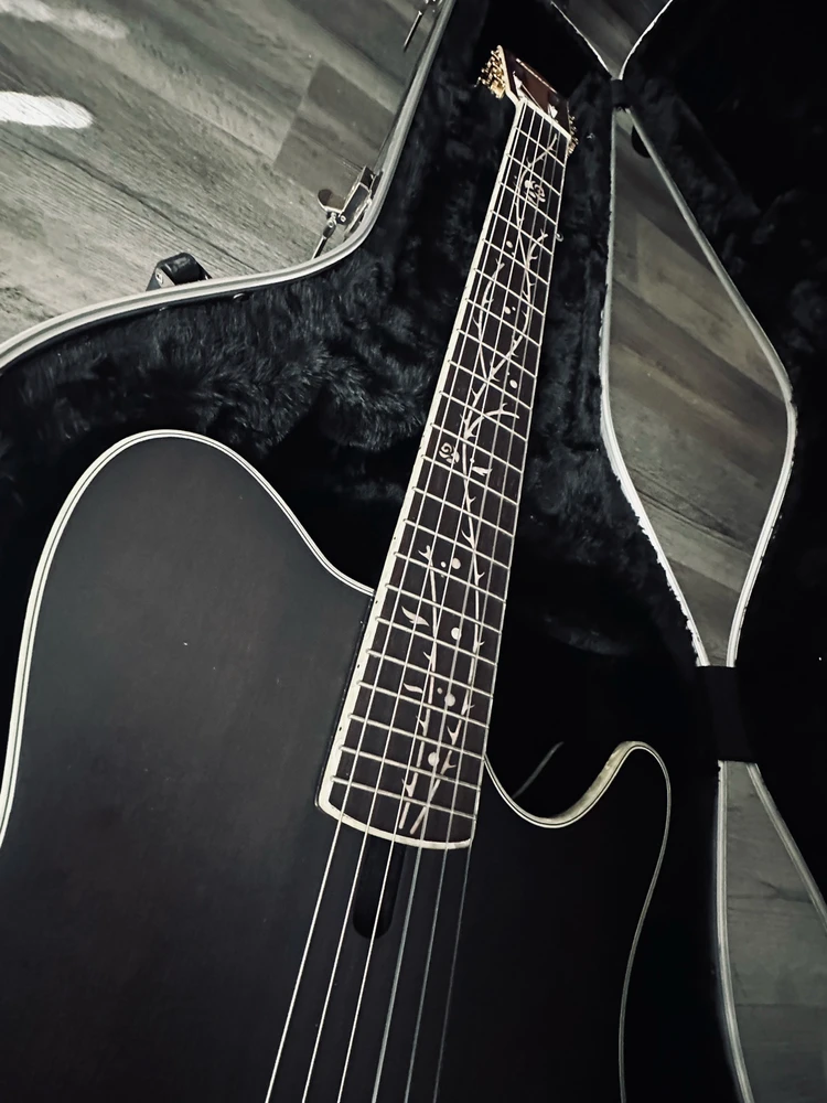 Newest Addition to The Family