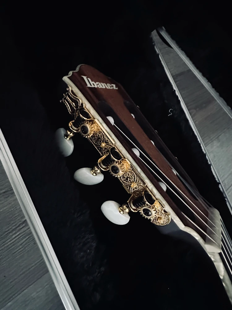 Newest Addition to The Family