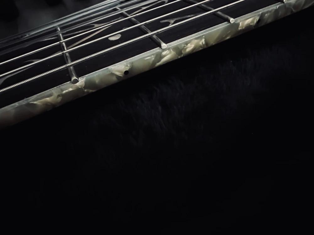 Newest Addition to The Family