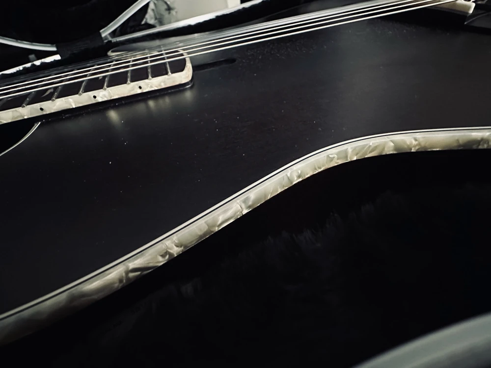 Newest Addition to The Family