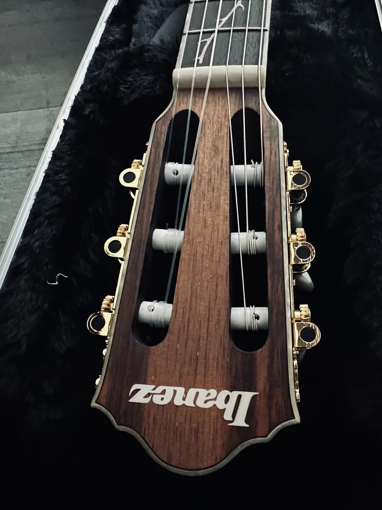 Newest Addition to The Family